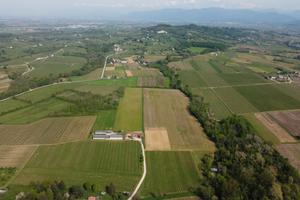 Terreno agricolo zona Colli Orientali