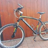 Mtb Bottecchia FX 510