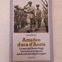 Gigi speroni "Amedeo duca d' aosta"