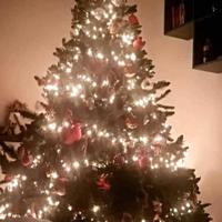 Albero Natale 2.40 m Montegrappa