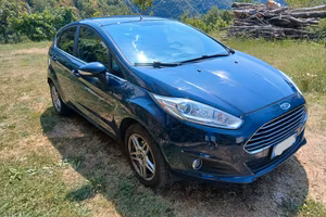 Ford Fiesta 1.5 TDCi  - Marciante, da sistemare