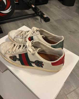 Scarpe Gucci Ace