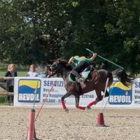 Pony sportivo da mouted games mg