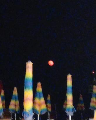 armadio camera da letto 