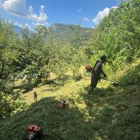 Servizio Verde, pulizia con motopompa manutentore