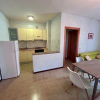 Speciale giugno gabbiano bianco