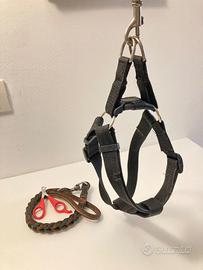 Set cane pettorina guinzaglio tagliaunghie