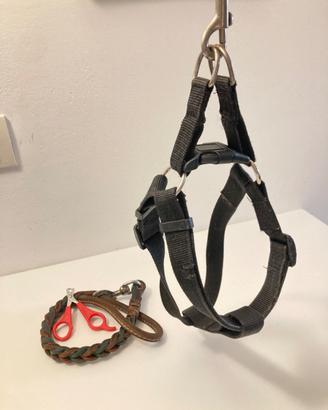 Set cane pettorina guinzaglio tagliaunghie