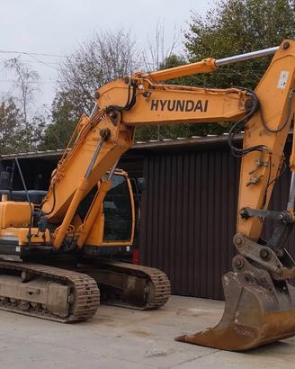 Escavatore cingolato Hyundai Robex 220NLC-9A