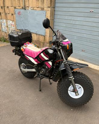 Fantic Koala 50 cc km 1633, originali