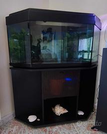 Acquario angolare 100 litri accessoriato