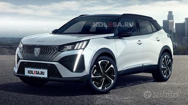 Ricambi peugeot 2008 2024