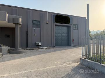 Capannone Caserta disponibile