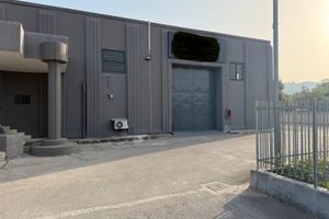Capannone Caserta disponibile