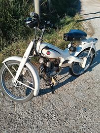 Motom 48
