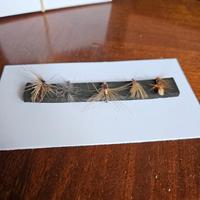 esca da pesca Fly Fishing 