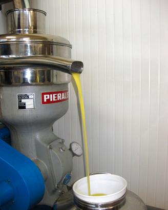 Vendita Azienda Olivinicola Biologica in zona DOP