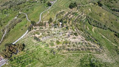 Terreno agricolo - Linguaglossa