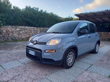 fiat panda hybrid