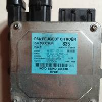 centralina servosterzo C2/C3