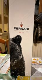 Bottiglia Ferrari