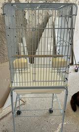 Gabbia pappagallo