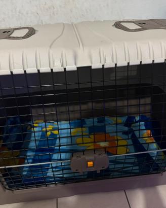 Kennel