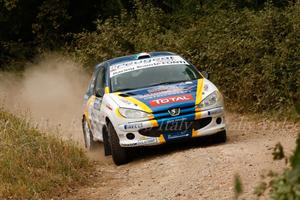 PEUGEOT 206 RALLY N3   EX ROSSETTI
