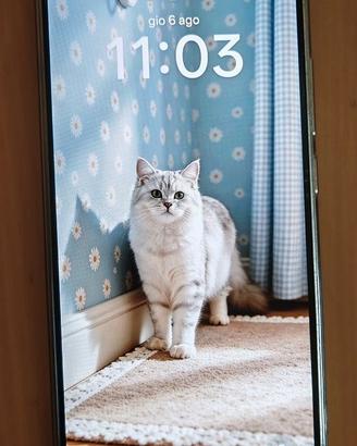Oppo Reno 15 FS 5G - 516GB