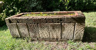 Pond pesci/tartarughe