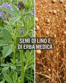 Semi di Lino e di erba Medica + OMAGGIO