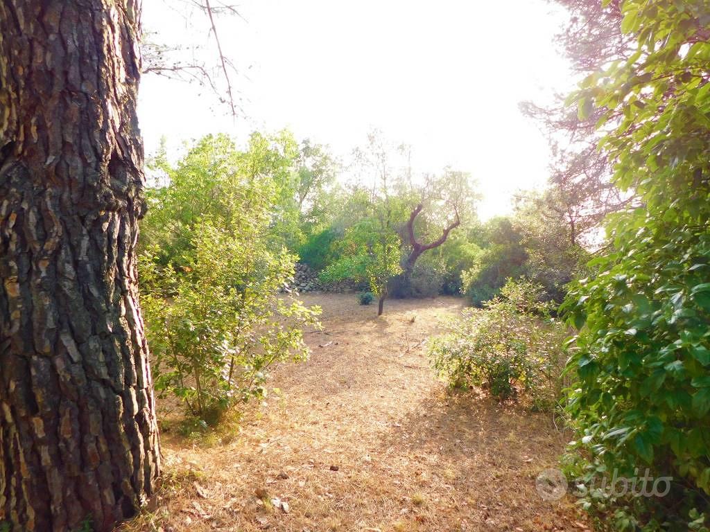 Rustico / Casale di 60 m² con 2 locali a Martina F - Vista 5