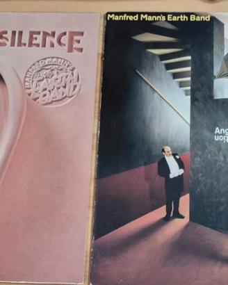 lotto vinili 33 giri lp disco album rock pop blues