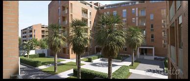 Appartamenti nuova costruzione zona nato