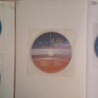 Libro inglese Life intermediate B1