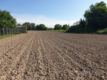 Terreno agricolo