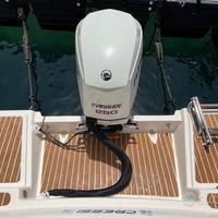 Motore Evinrude 250 E-TEC anno 2006 fuoribordo