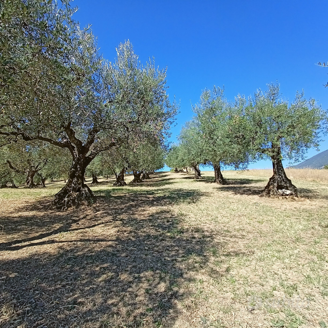Rustico con terreno - Vista 3