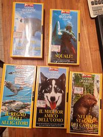 Vhs National Geografic