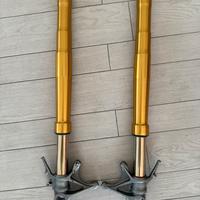 Accessori ducati  panigale V4