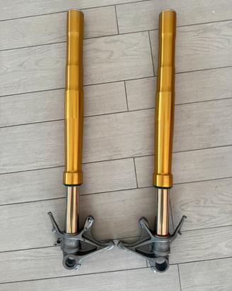 Accessori ducati  panigale V4