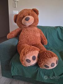 peluche teddy 