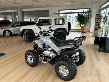 Quad ATV DINLI DL350 - come nuovo