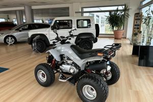 Quad ATV DINLI DL350 - come nuovo