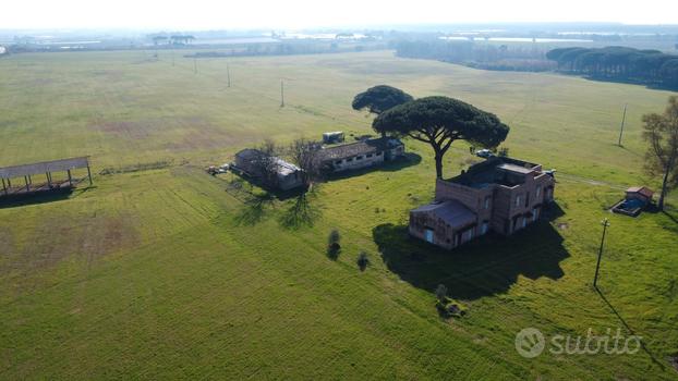 Ex Azienda Agricola con terreno 50 ha - Tr.293