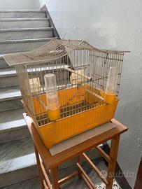 gabbia per uccelli piccola