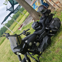 Dyna street bob club style