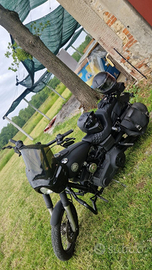 Dyna street bob club style