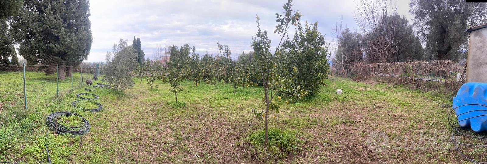 Terreno Agricolo - Vista 4