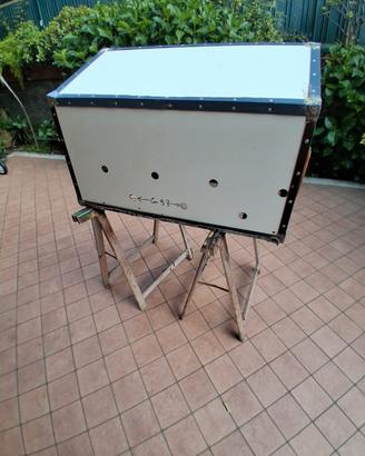 trasportino per cani
